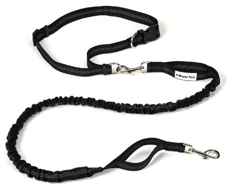 Prosper Pets Hands Free Dog Leash - Dual Handle Running Leash - Shock Absorbing, Extendible Bungee - Adjustable Waist Belt - for Running, Jogging or Walking - Lifetime Warranty