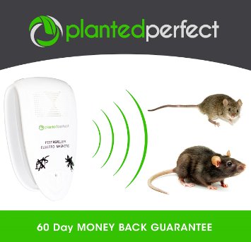 UPGRADED PRO PEST CONTROL 2.0 - Natural Ultrasonic Rodent Repeller Controls Home Pests And Keeps Family Safe - Repel Mice, Rats, Moths and Squirrels - OTHER Electronic Repellent Devices LIE TO YOU!