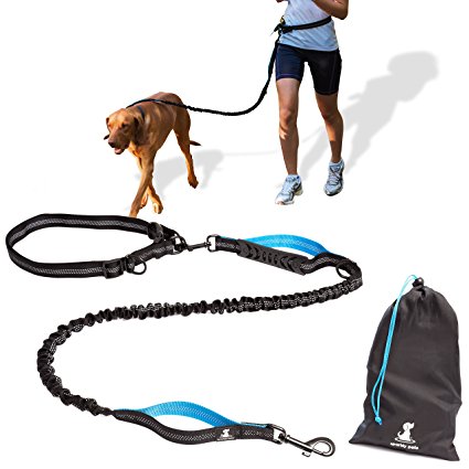 Professional Hands Free Dog Leash or Traditional Leash 2 in 1 made by SparklyPets, No Pull Leash with Retractable Shock Absorbing Bungee, Reflective Stitching, For Running, Jogging & Hiking