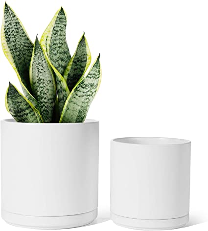 Ceramic Pots - 5.9 and 4.7 Inch Indoor Planter with Drainage Holes and Trays for House Plants - 802, Set of 2, White