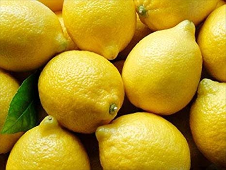 Limoncello Lemons Organic Non-Waxed 10-12 lbs.