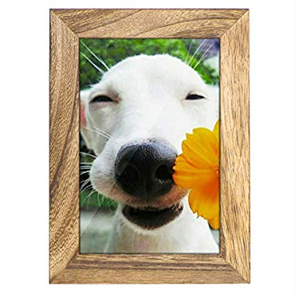 DLQuarts 5x7 Picture Frame, Wall Mount and Tabletop Photo Frame, Solid Wood, High Definition Photo Display Carbonized Black