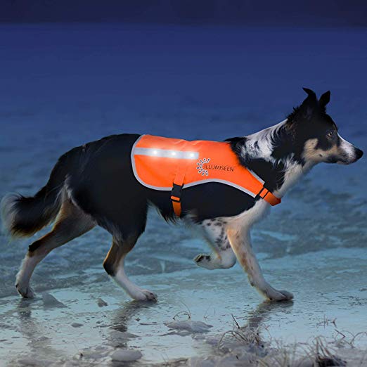 Illumiseen LED Dog Vest | Orange Safety Jacket with Reflective Strips & USB Rechargeable LED Lights | Increase Your Dog’s Visibility When Walking, Running, Training Outdoors | with Straps & Buckles