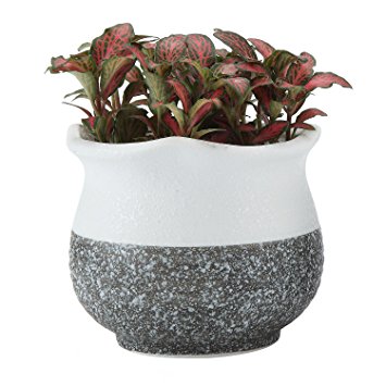 T4U 3.5 Inch Ceramic Korae Style Snow Serial No.2 succulent Plant Pot/Cactus Plant Pot Flower Pot/Container/Planter