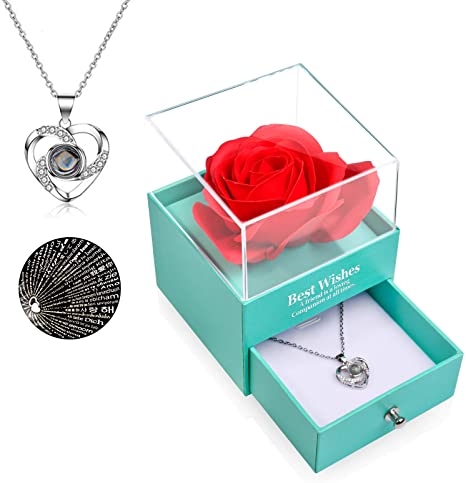 FilmHoo Mothers Day Gifts Preserved Real Rose with Heart Love You 925 Sterling Silver Necklace in 100 Languages Gifts for Mom Women Her Wife Girlfriend Birthday/Valentines Day/Christmas/Anniversary