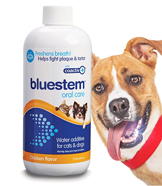 Bluestem Pet Water Additive Oral Care: For Dogs & Cats Bad Breath, Dental Rinse Freshener Treats Plaque & Teeth Tartar Remover. Dog & Cat Mouth Hygiene Clean Health Treatment for Pets Drinking Bowl