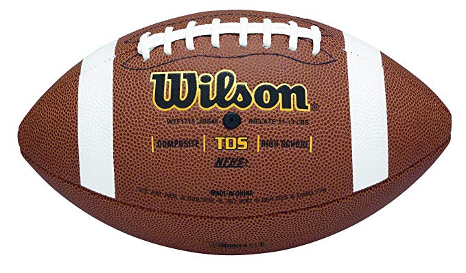 Wilson Composite Football