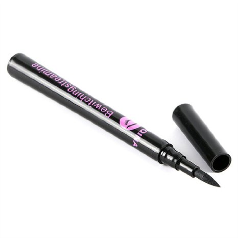 Silvercell Makeup Black Waterproof Eyeliner Liquid Eyeliner Pen Pencil Cosmetic