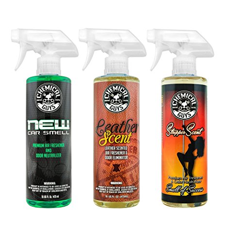 Chemical Guys AIR_301 New Car/Leather/Stripper Scent kit, 16 fl. oz