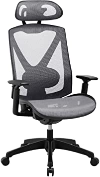Ergonomic Desk Chair, Office Chair with Adjustment Lumbar Support/Headrest/Armrests, Versatile Deluxe Mesh Computer Chair - Moustache® (Gray)