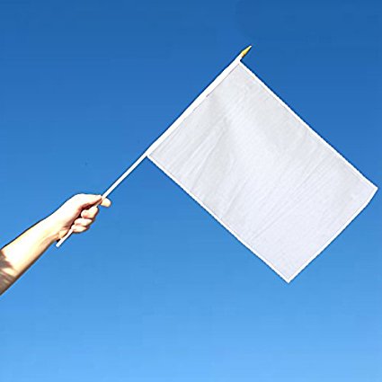 Solid White (Blank) 12x18in Stick Flag