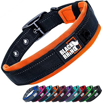 Black Rhino - The Comfort Collar Ultra Soft Neoprene Padded Dog Collar for All Breeds - Heavy Duty Adjustable Reflective Weatherproof (Small, Orange/Bl)