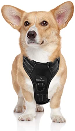 MASBRILL No Pull Dog Harness, No Choke Pet Vest Harness with Front and Back 2 Lead Clips, Adjustable Soft Padded Dog Vest with Easy Control Handle for Small Medium Big Dogs.