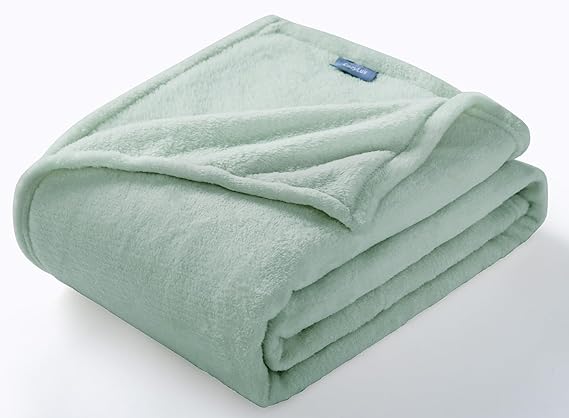 CozyLux Fleece Throw Blanket for Couch Sage Green - 300GSM Soft Lightweight Cozy Plush Fuzzy Microfiber Flannel Blankets for Travel Camping Chair and Sofa, 50x60 inches