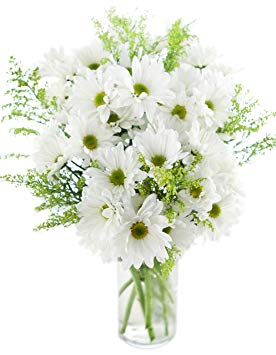 Bouquet of Bountiful White Daisies: 10 White Daisy Poms and 5 Yellow Solidago Asters with Vase