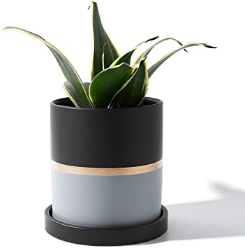 POTEY 052105 Cylinder Ceramic Plant Pot - 4.9 Inch Planters for Indoor Plants Flower Succulent with Drainage Hole & Saucer (Black Grey Golden Detailing)