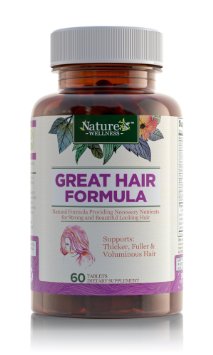 Hi-Potency Hair Growth Formula w/ Biotin by Nature's Wellness | Maximum Strength DHT Blocker Formula w/ Biotin, Folic Acid, Saw Palmetto, Inositol, PABA, 20  Ingredients Support Natural Hair Growth
