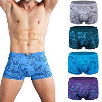 Wirarpa Mens Boxers Shorts Microfiber Briefs Modal Trunks Underwear Pack of 4