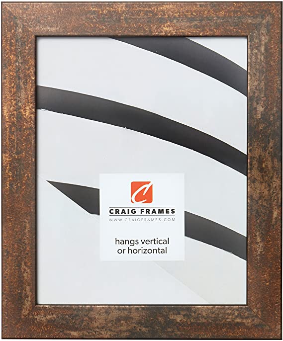 Craig Frames Bauhaus 125 Picture Frame, 17 x 22 Inch, Rust