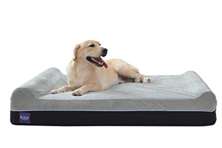 LaiFug Orthopedic Memory Foam Extra Large Dog Bed Pillow And Durable Water Proof Liner&Removable Washable Cover