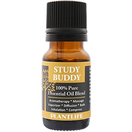 Study Buddy - 100% Pure Essential Oil Blend