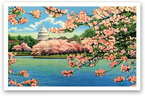 WASHINGTON DC VINTAGE REPRINTS postcard set of 20 postcards. Set of 20 identical post cards. Made in USA.
