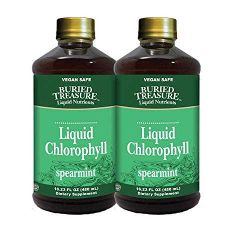 Buried Treasure Liquid Chlorophyll Vegan Dietary Supplement Spearmint All Natural 100 mg Chlorophyll BPA Free 16 oz (2 Pack)