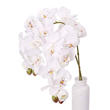 N&T NIETING Artificial Orchid Phalaenopsis Flower, 2PCS 29in Real Touch Simulation Orchild with Stem for Wedding, Flower Arrangement, Home Centerpiece Decor, Party Decorations (White-2)