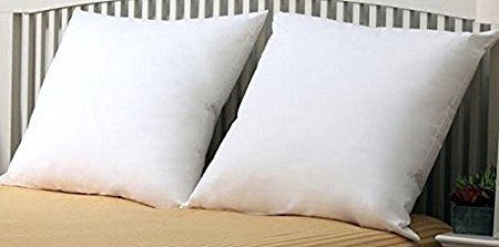 Premium- Set of 2 - 26" x 26" - Euro Pillow-Down Alternative - 100 GSM Shell Fabric - Exclusively for Blowout Bedding RN# 142035