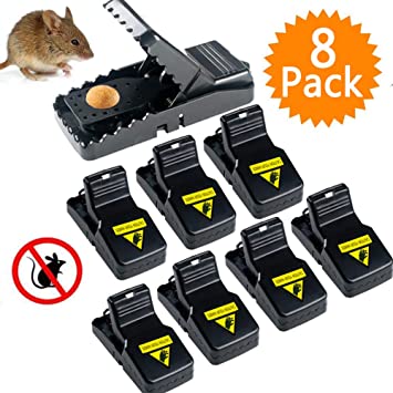 JTENG Mouse Trap, Mice Traps That Work Best Snap Traps for Small Mice and Mouse Outdoor Indoor Quick Kill and Reusable Mouse Traps 8 Pack