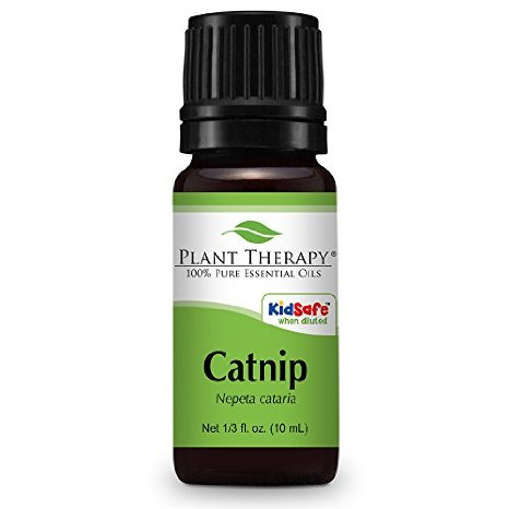 Catnip Essential Oil. 10 ml (1/3 oz). 100% Pure, Undiluted, Therapeutic Grade.