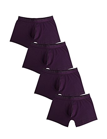 David Archy Men's 4 Pack Soft 100S Micro Modal Trunk