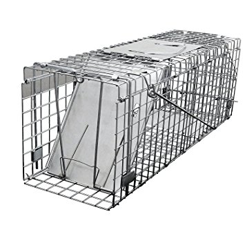 Medium Metal Live Animals & Squirrel Humane Cage Trap