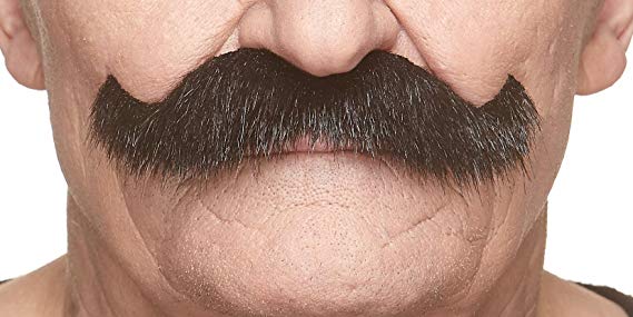 Mustaches Fake Mustache, Self Adhesive, Novelty, Rocking Grandpa's False Facial Hair, Costume Accessory for Adults