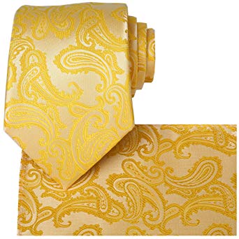 KissTies Mens Extra Long Tie Paisley Pattern Necktie   Gift Box (63'' XL)