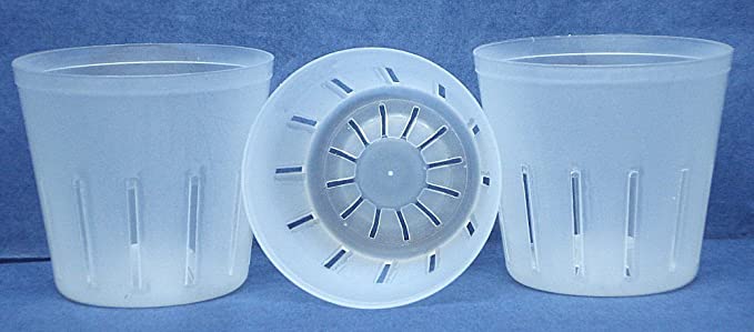 Clear Plastic Pot for Orchids 3 inch Diameter - Quantity 3