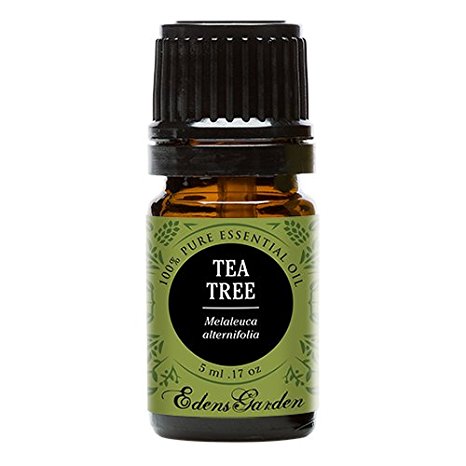 Tea Tree (Melaleuca) 100% Pure Therapeutic Grade Essential Oil by Edens Garden- 5 ml