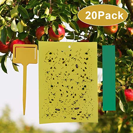 SYOURSELF Sticky Trap,Fruit Fly and Gnat Trap Yellow Sticky Bug Traps for Indoor/Outdoor Use - Insect Catcher for White Flies,Mosquitos,Fungus Gnats - Disposable Glue Trappers (20 pcs)