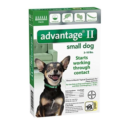 Advantage II for Dogs 10 lbs and Under - 6 pack
