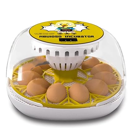 Meuiosd Egg Incubator for Hatching Chicks, 12-24 Egg Incubators with Auto Turning, Automatic Water Top-up, Fahrenheit Display, 360° View Poultry Incubator for Hatching Chicken Duck Quail Parrot