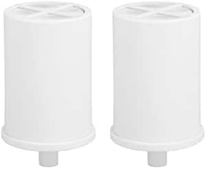 GE Shower Replacement Filter | Removes Chlorine | Replace Filter (FXSCT) Every 6 Months | FXSCT, 1 Count (Pack of 2)