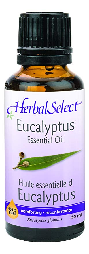 Herbal Select Eucalyptus Essential Oil, 30ml