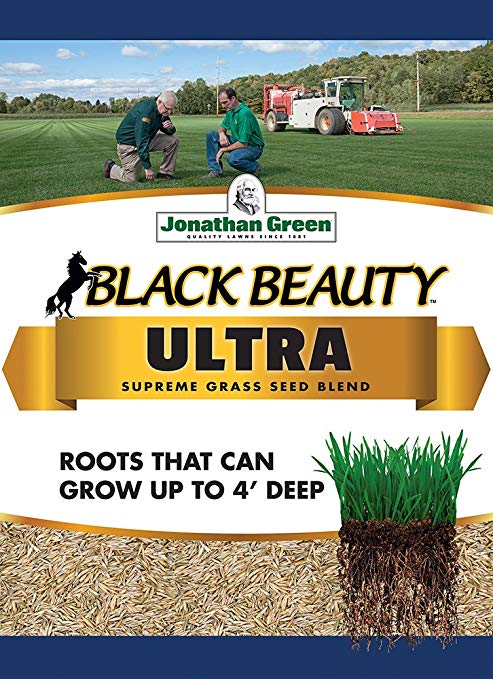 Jonathan Green 40321 Black Beauty Ultra Grass Seed, 3 lb