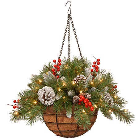 National Tree 20 Inch Frosted Berry Hanging Basket with Red Berries, Cones and 50 Battery Operated Warm White LED Lights (FRB-20HLW-B1)