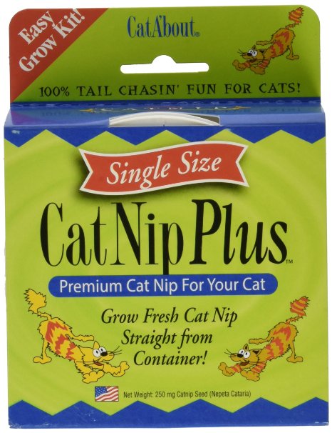 Cat-About by MiracleCorp Gimborn Single Cat Grass Plus, 60-Gram