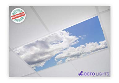 Octo Lights - Fluorescent Light Covers - 2x4 Flexible Ceiling Light Diffuser Panels - Decorative Clouds - for Classrooms and Offices - 013