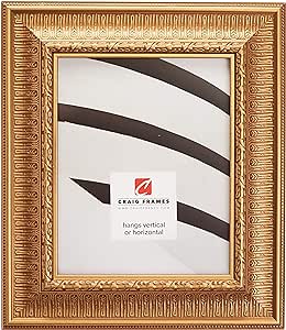 Craig Frames Maximus Picture Frame, 20 x 24 Inch, Roman Gold