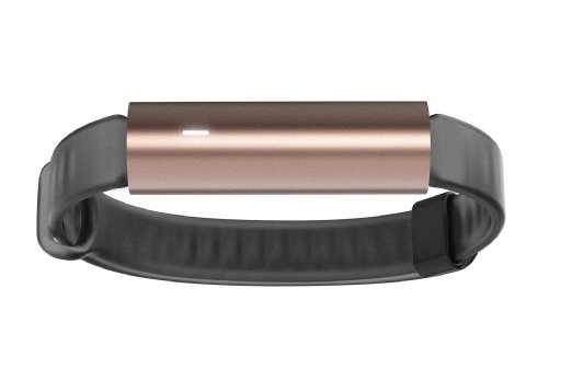 Misfit Ray -Fitness   Sleep Tracker with Sport Band (Rose Gold)