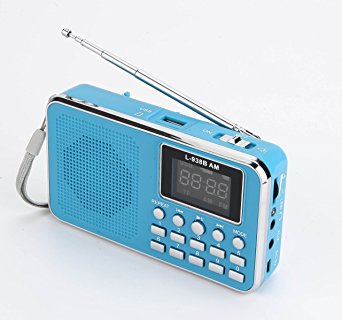 Dewant® Mini Digital Portable MP3 Music Player with Micro SD/TF USB Disk Radio Speaker. (938AM Blue)