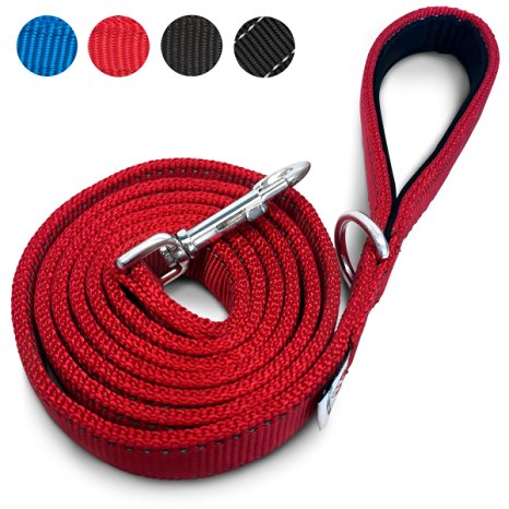 PetsLovers Premium Dog Leash - Heavy Duty Strap, Padded Handle, Ambient Colors - 6 Feet Long, 1 Inch Wide